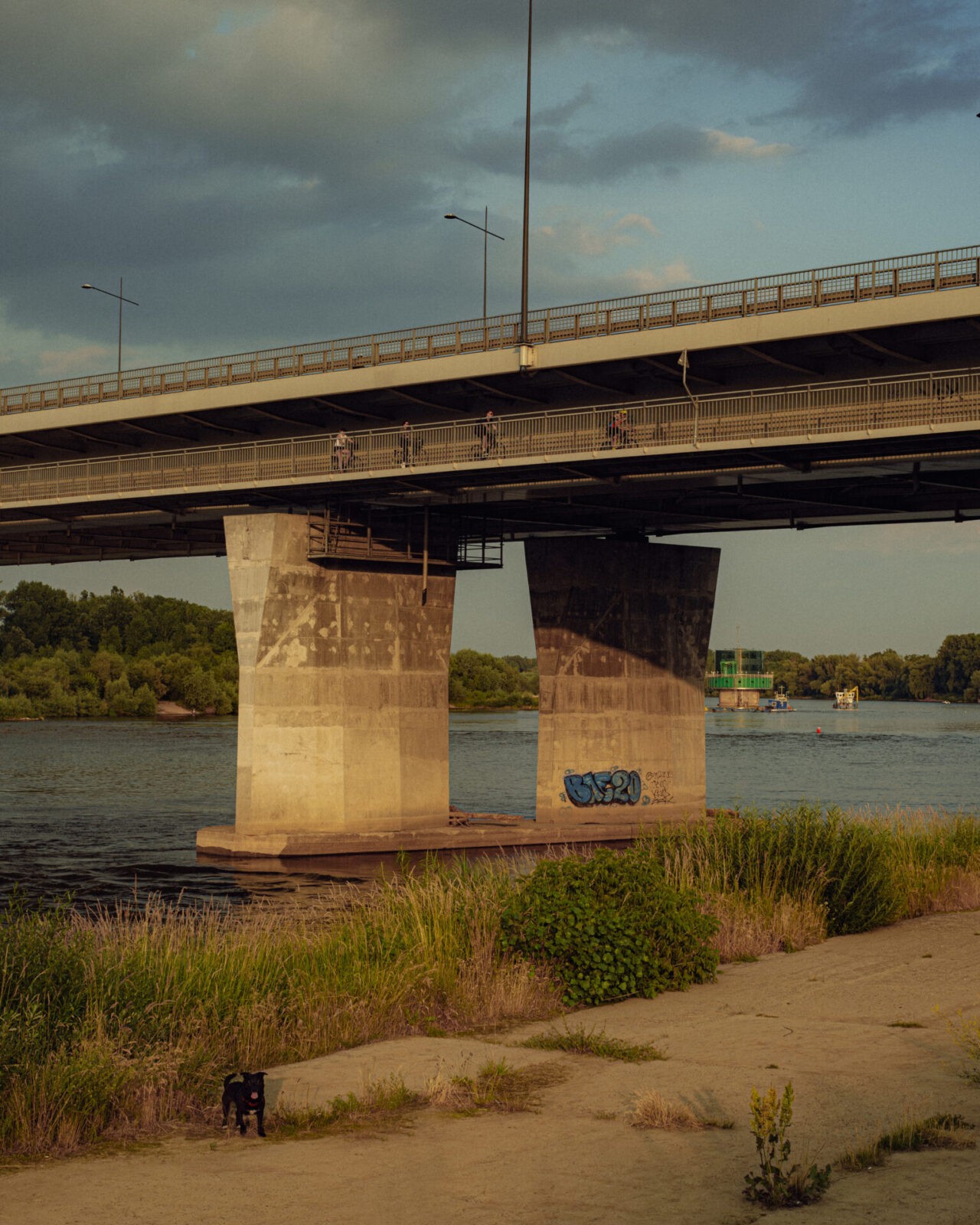 Łazienkowski i Borys